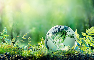 Sustainability