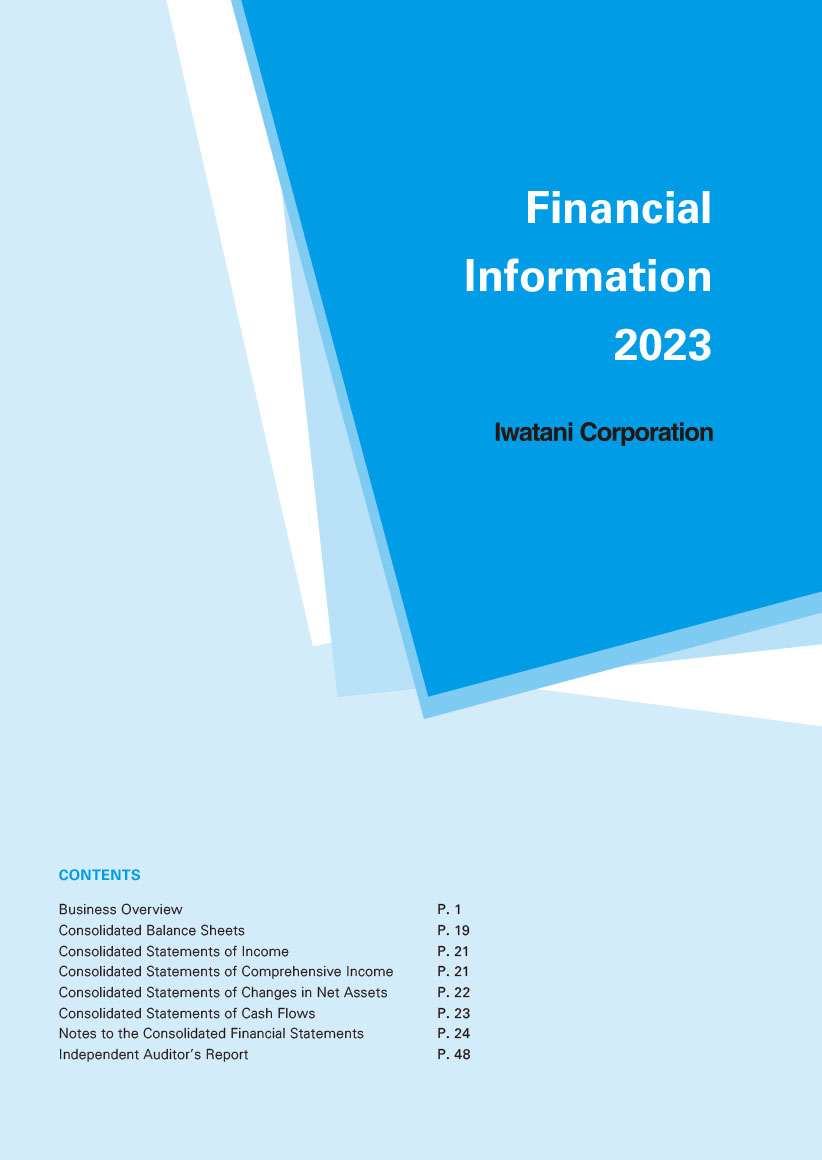 pdf:Financial Information 2023