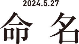 2024.5.27 命名